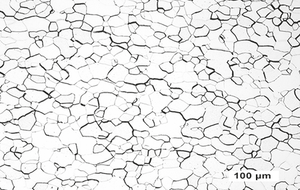 鉬薄板的光學(xué)顯微圖像